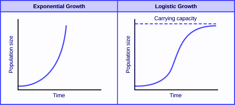 Verhulst's logistic function modeled both the exponential nature and the natural limit of population growth