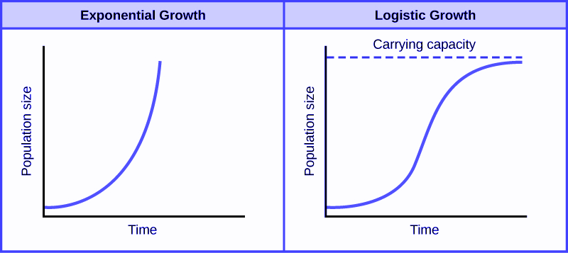 logistic-growth-curve-in-ecology-youtube